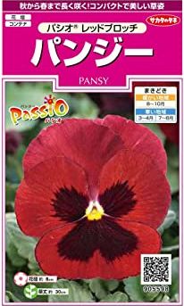 花の種 パンジー パシオ レッドブロッチ 約34粒 (株)サカタのタネ 実咲(026139)