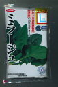 ほうれんそう ミラージュ Lサイズ 2万粒 (株)サカタのタネ