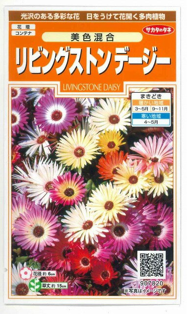 花の種 リビングストンデージー美色混合 約286粒 株 サカタのタネ 実咲