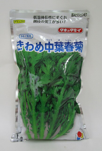 春菊　 摘みとりシュンギク きわめ中葉春菊 1L タキイ種苗(株)