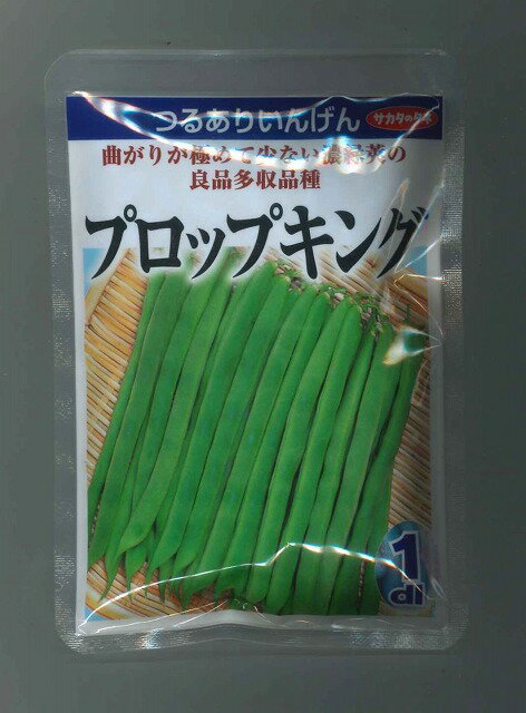 豆類 つるありいんげん プロップキング 1dl (株)サカタのタネのサムネイル
