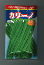 いんげん カリーノ 1dl 渡辺農事(株)