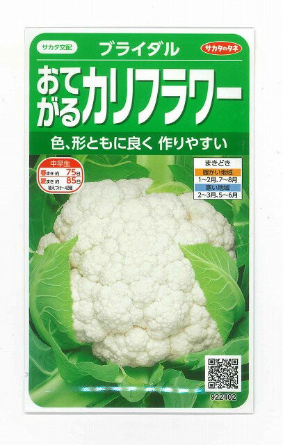 カリフラワーブライダル約125粒サカタのタネ　実咲のサムネイル