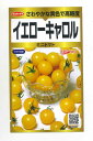 トマト　ミニトマトイエローキャロル40粒　（株）サカタのタネ　実咲PRO