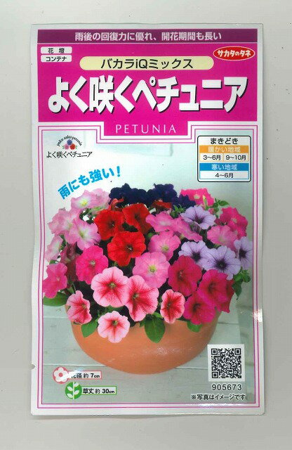 花の種 よく咲くペチュニア バカラIQミックス50粒 実咲350