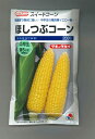 【種子】うまさぎっしりキャベツ 越の味 トーホクのタネ