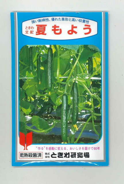 きゅうり 夏もよう 350粒 (株)ときわ研究場