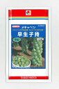 芽キャベツ 早生子持 20ml タキイ種苗(株)