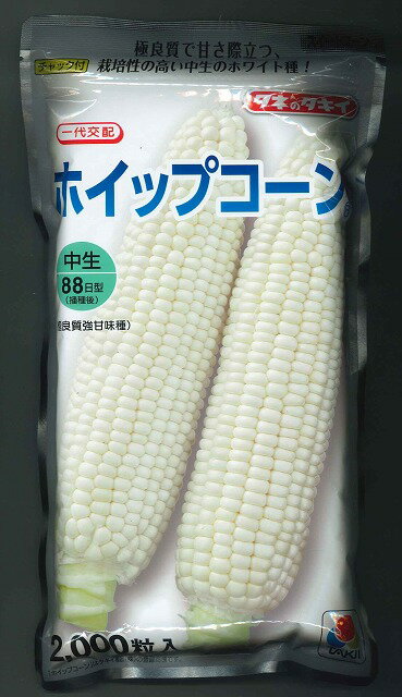 とうもろこしホイップコーン　2000粒　タキイ種苗のサムネイル