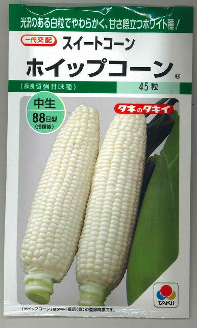 とうもろこしホイップコーン　40粒 タキイ種苗 GFのサムネイル