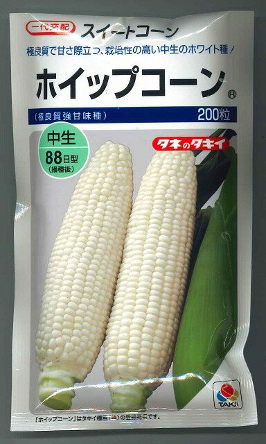 極甘キャベツ　サトウくん　【家庭菜園　直売所向き】【一代交配】【甘いキャベツ】【プランター栽培】【作りやすくおいしい】