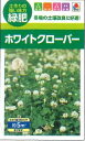 緑肥作物 ホワイトクローバー フィア 小袋(約5平方メートル分) タキイ種苗(株)