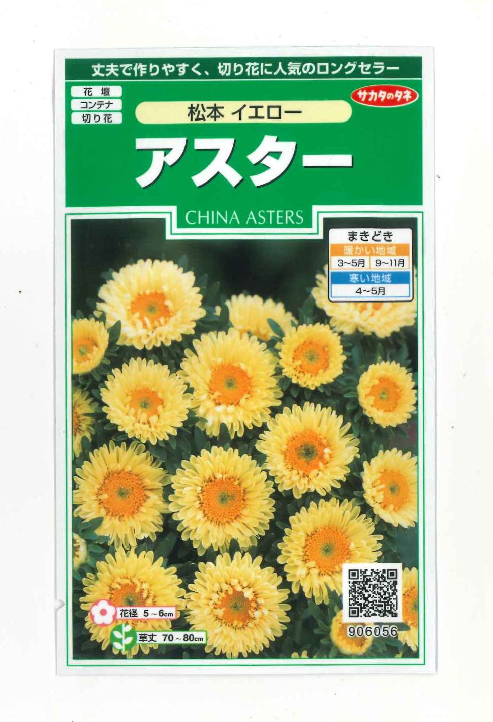 花の種　アスター　松本イエロー　約190粒　（株）サカタのタネ　実咲