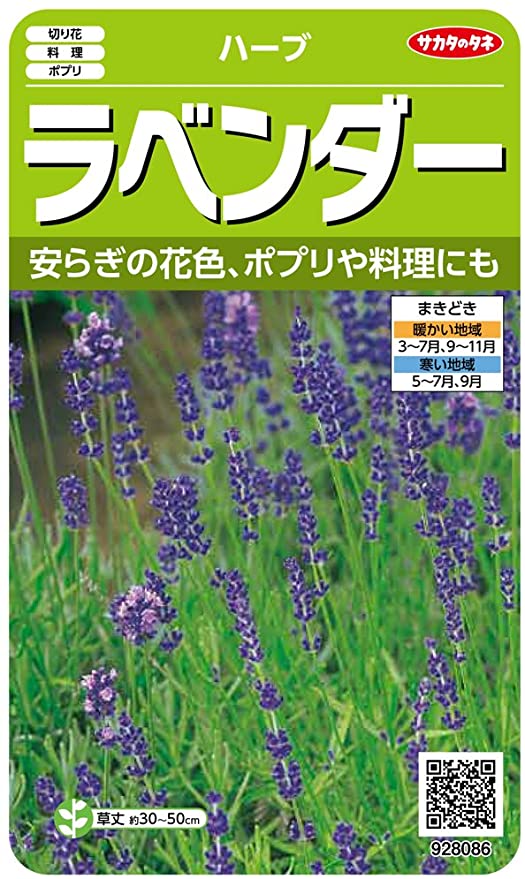 ハーブの種ラベンダー　（約60粒)（株）サカタのタネ 実咲