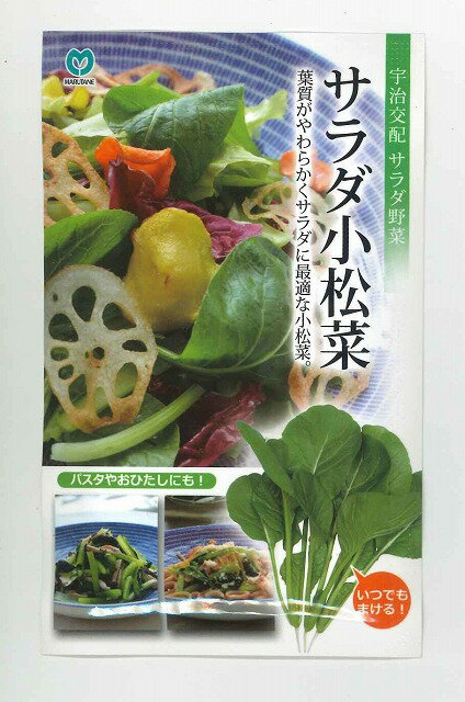 小松菜 サラダ小松菜　20ml 宇治交配のサムネイル