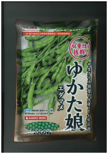 【全国送料無料】万能小ねぎ　スリム　/ トーホク 野菜 ハーブ 草花 園芸 栽培 肥料 家庭菜園 球根 苗 種まき 種子 たね タネ 植物 ガーデニング じょうろ 松永種苗 フタバ種苗 サカタのタネ タキイ種苗★在庫がある商品のみ12時（土日祝を除く）までのご注文で当日出荷