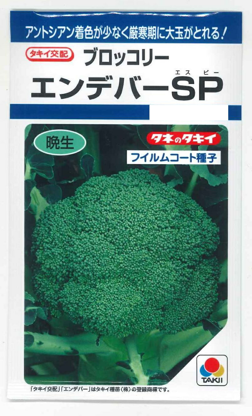 ブロッコリー エンデバーSP 150粒 タキイ種苗(株)DFのサムネイル
