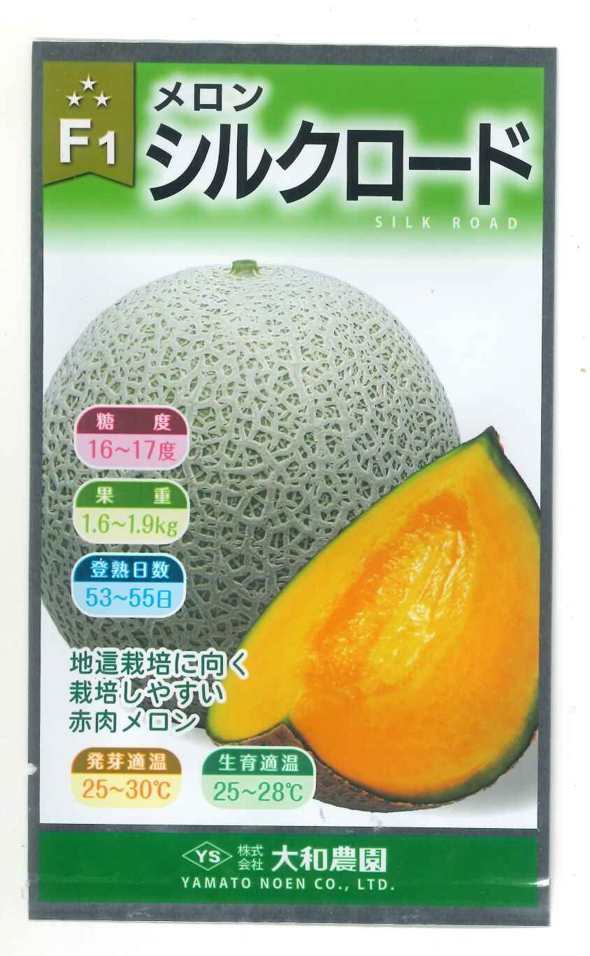 メロン シルクロード 7