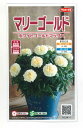 花の種 マリーゴールドホワイトゴールドマックス約30粒（株）サカタのタネ　実咲