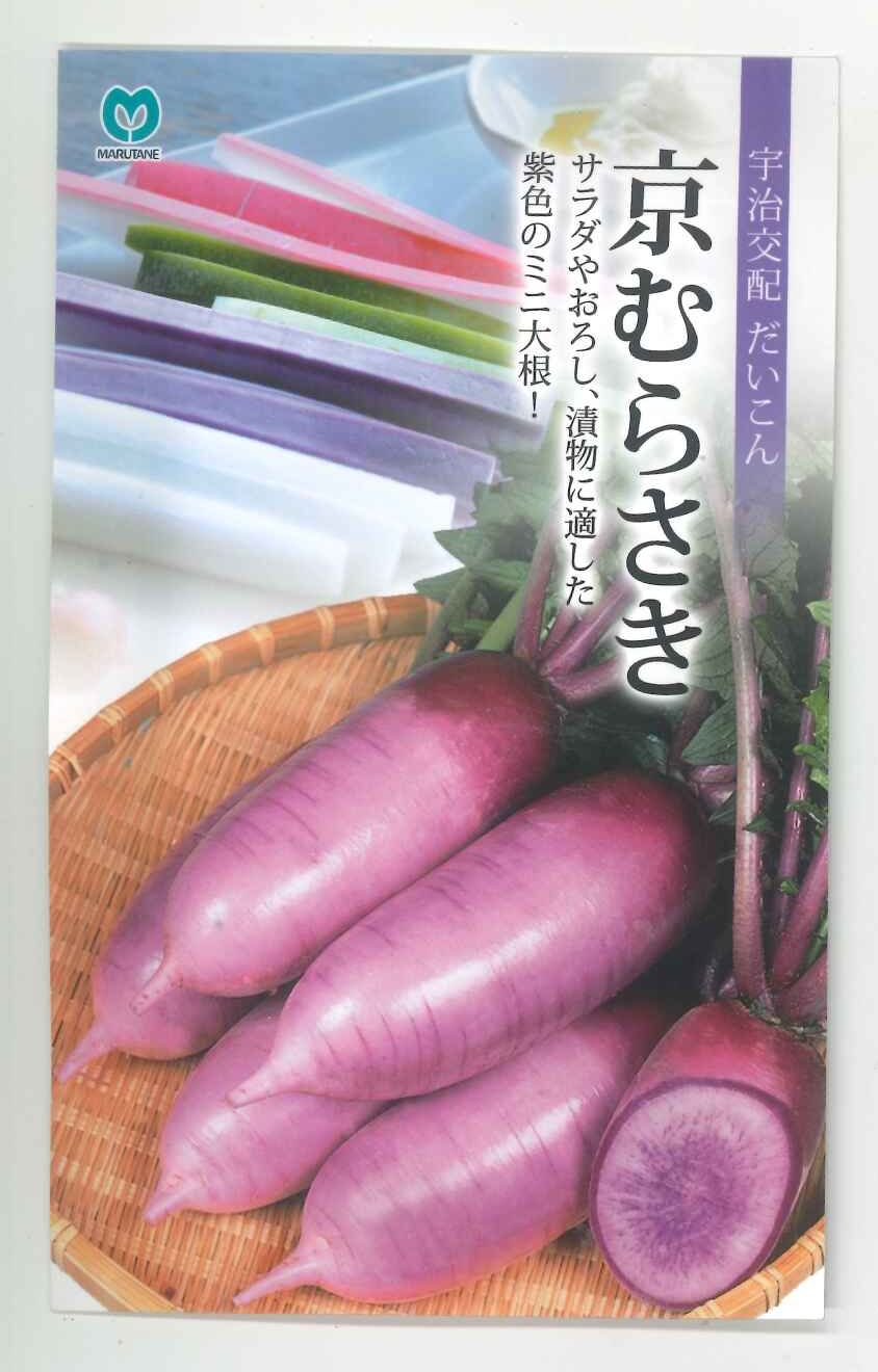 大根 京むらさき 小袋(1.7ml) 丸種(株)