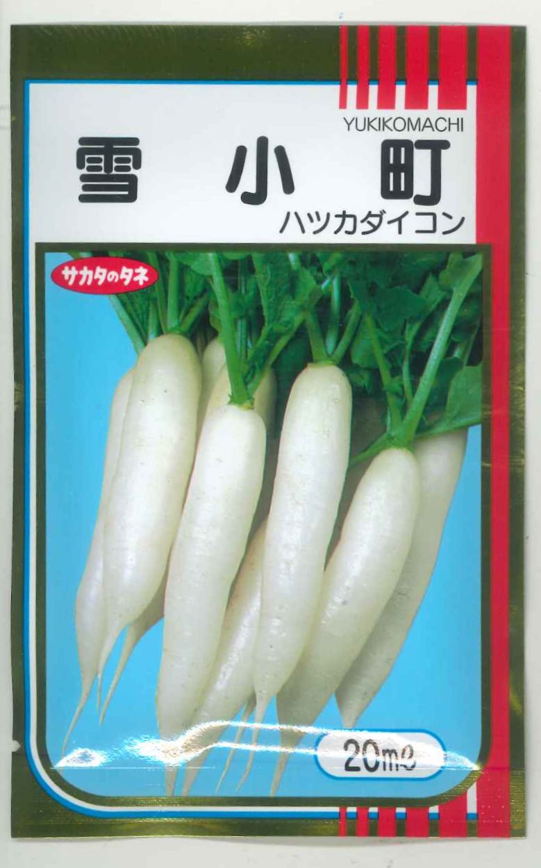 大根 はつかだいこん 雪小町 20ml (株)サカタのタネ