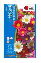 花の種 アスター ネネ 混合 小袋 タキイ種苗(株)(NL300)