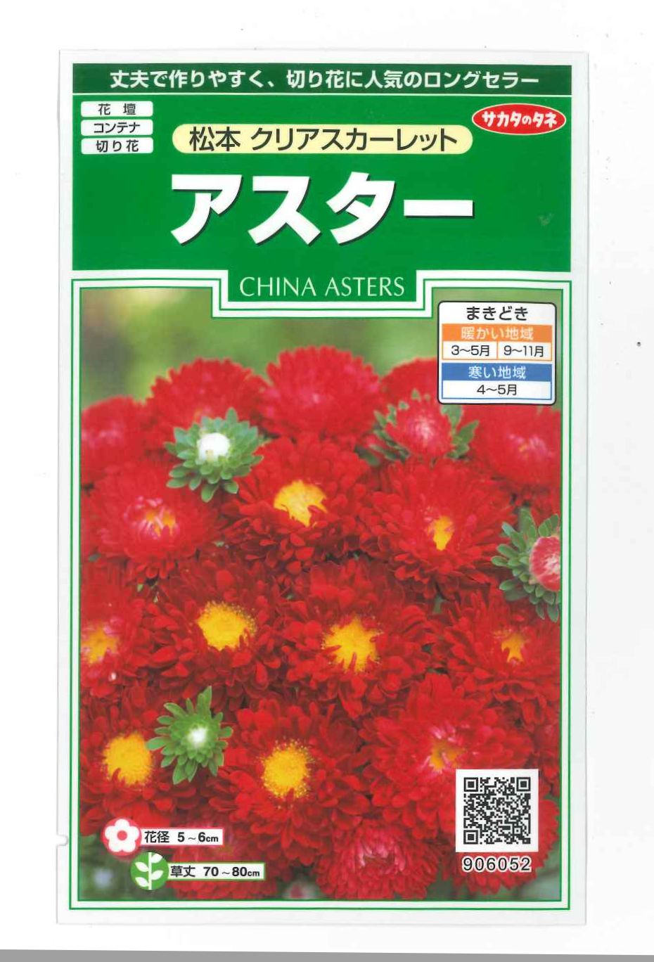 花の種　アスター　松本クリアスカーレット　約190粒　（株）サカタのタネ　実咲