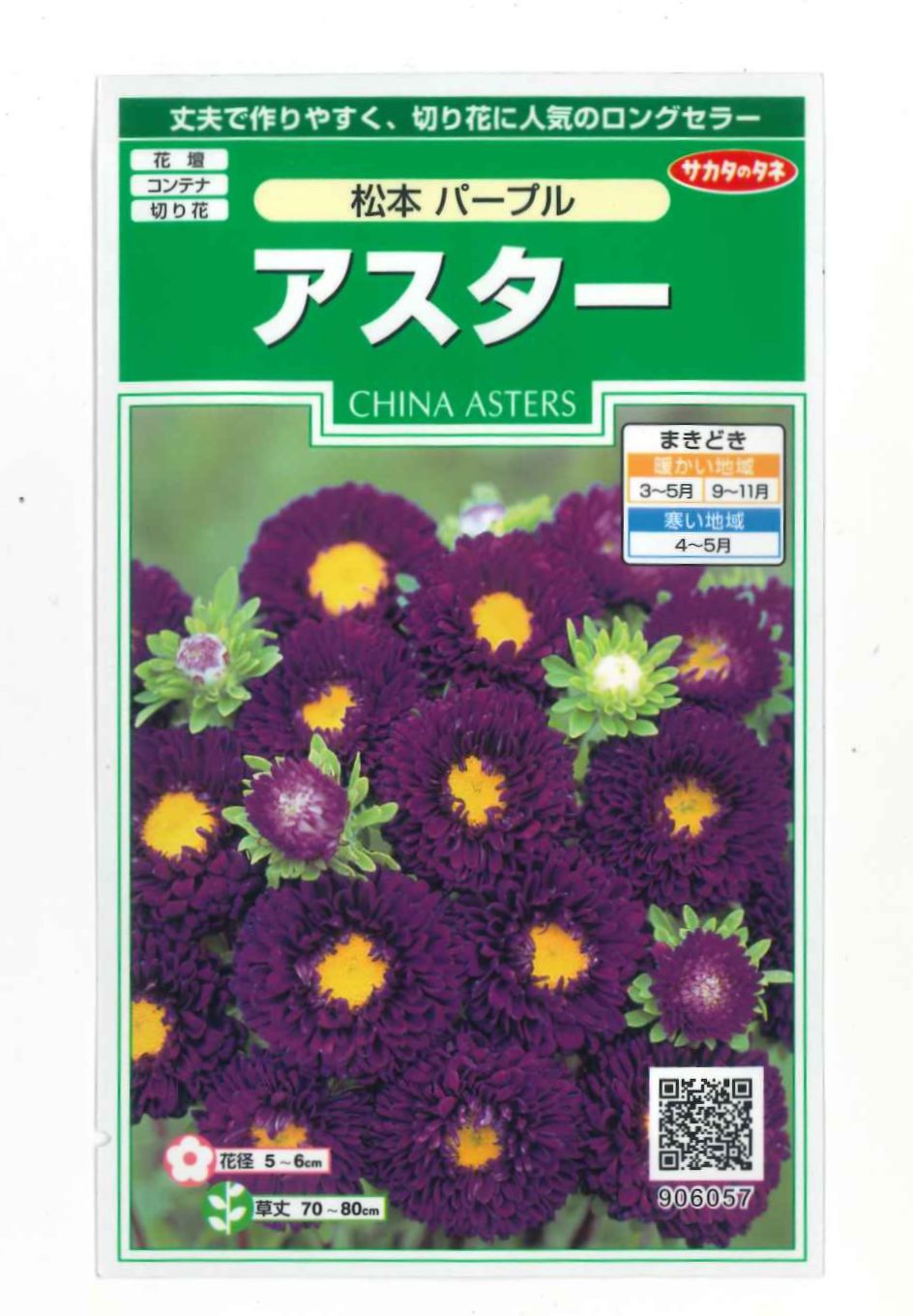 花の種　アスター　松本パープル　約190粒（株）サカタのタネ　実咲