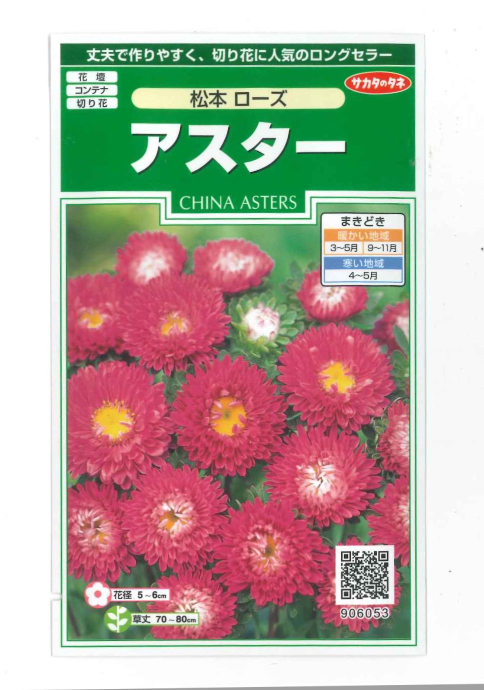 花の種　アスター　松本ローズ　約190粒　（株）サカタのタネ　実咲