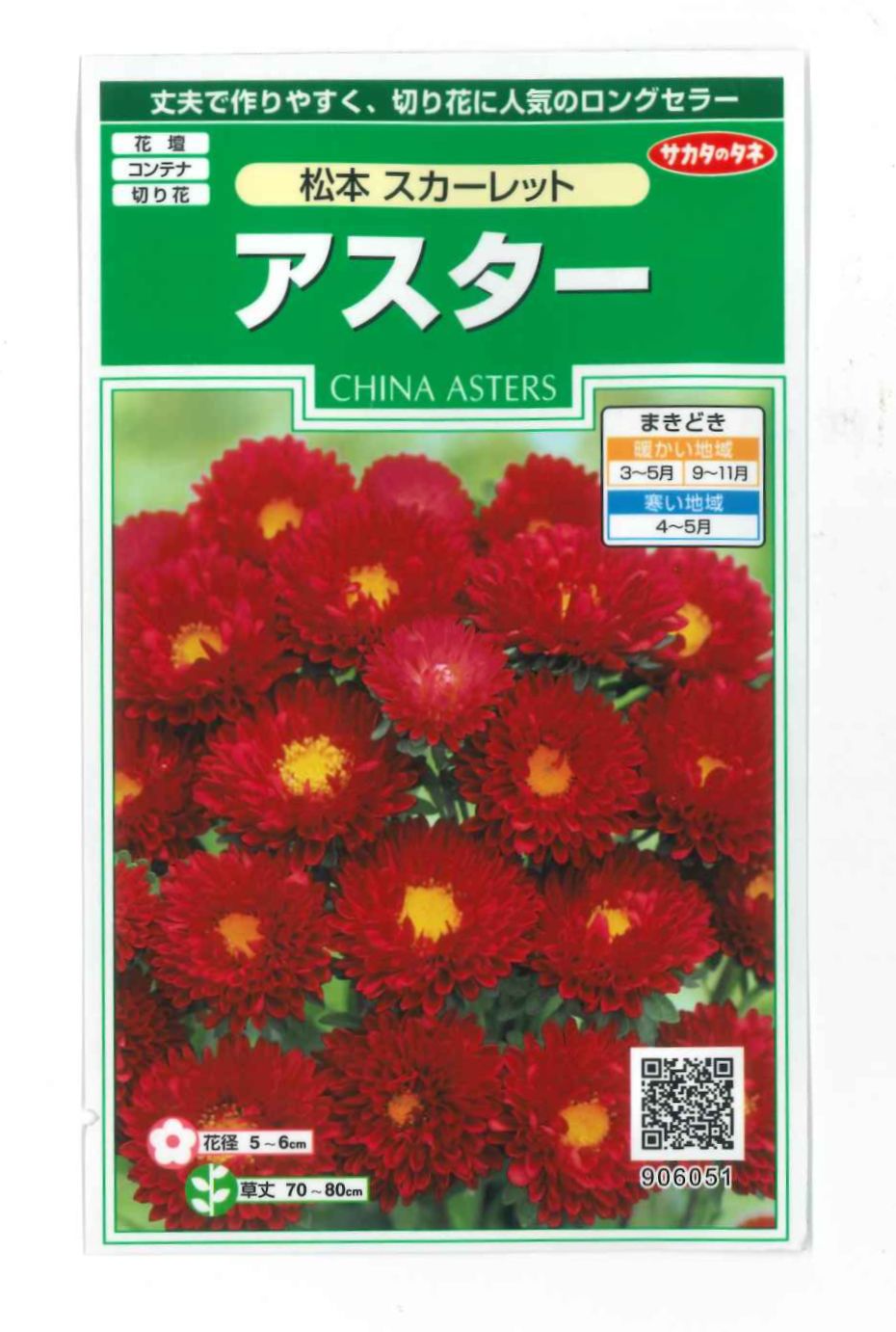 花の種　アスター　松本スカーレット　約190粒　（株）サカタのタネ　実咲