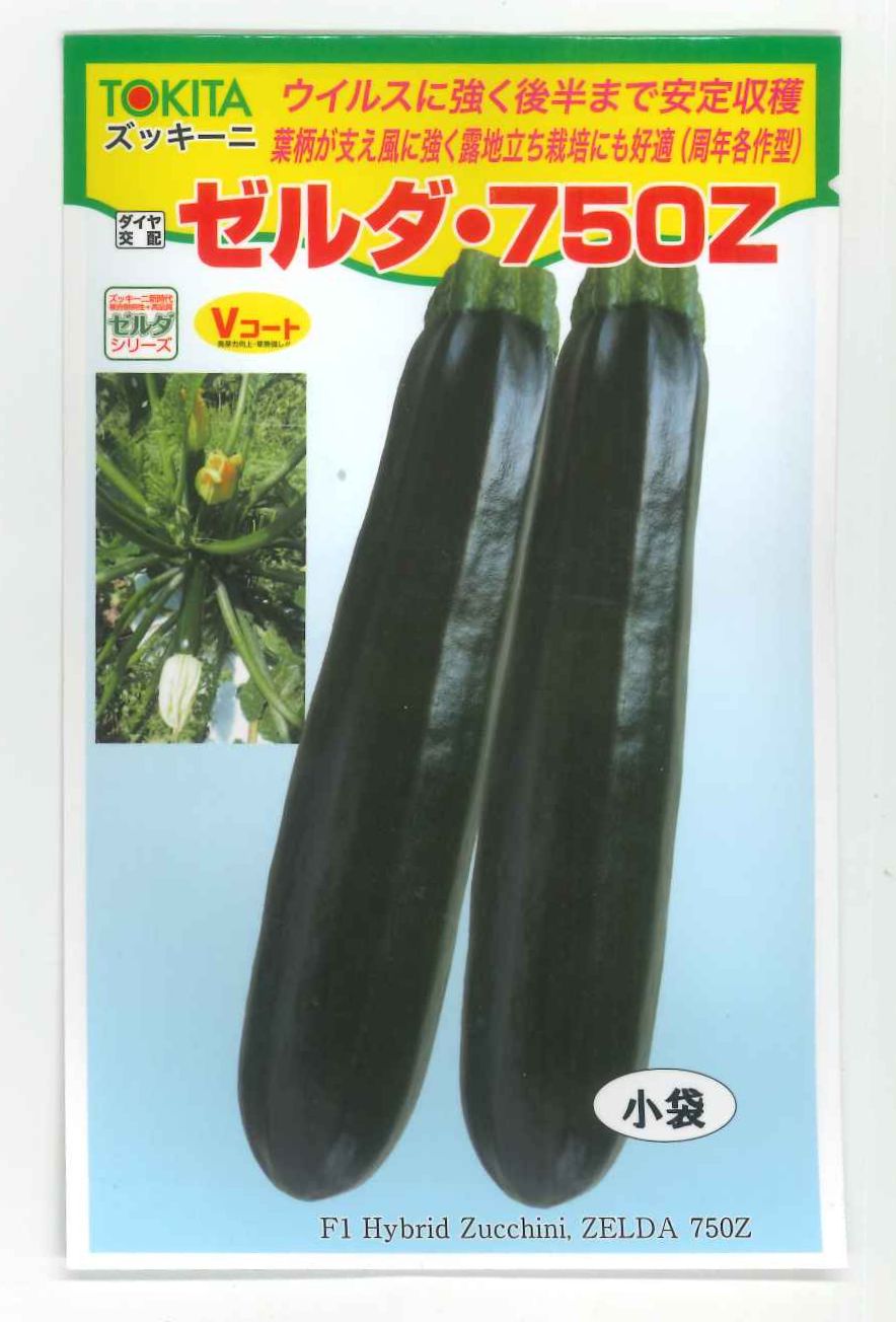 ꡼եȥͥȤ㤨֥å 750ZTSX-750Z 10γ ȥ(פβǤʤ470ߤˤʤޤ