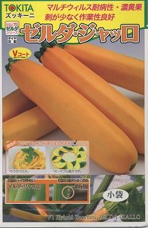 ꡼եȥͥȤ㤨֥å å (10γ ȥ(פβǤʤ470ߤˤʤޤ