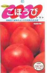 トマト ごほうび 100粒 (株)サカタのタネ