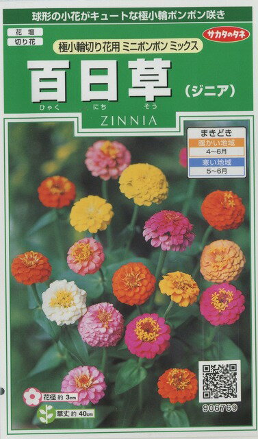 花の種 百日草 ジニア 極小 切り花用ミニポンポンミックス約29粒 株 サカタのタネ 実咲