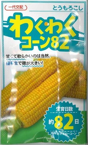 とうもろこしわくわくコーン82 100粒 カネコ交配