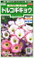 花の種 トルコギキョウバイカラー ミックス　約45粒　（株）サカタのタネ 実咲