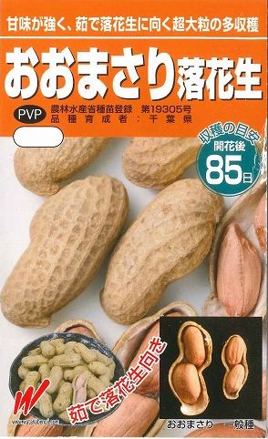 豆類　落花生おおまさりの種　むき実 20粒渡辺農事のサムネイル
