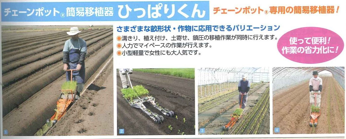 ネギ 基本の育て方と本格的な栽培のコツ 農業 ガーデニング 園芸 家庭菜園マガジン Agri Pick