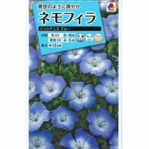 花の種 ネモフィラ インシグニスブルー 1ml タキイ種苗(株)