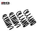 【送料無料】 RG ダウンサス ...