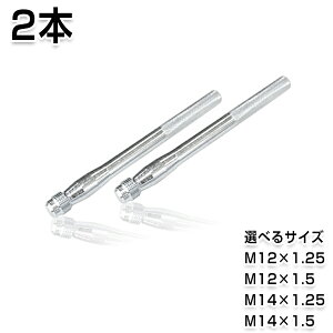 【メール便送料無料】 ホイールガイドボルト 2本セット 交換用 M12×1.25 M12×1.5 M14×1.25 M14×1.5 ホイール 取り付け用 ガイドボルト セッティングボルト