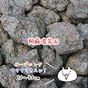 熊本阿蘇溶岩石［大き目20〜30セン
