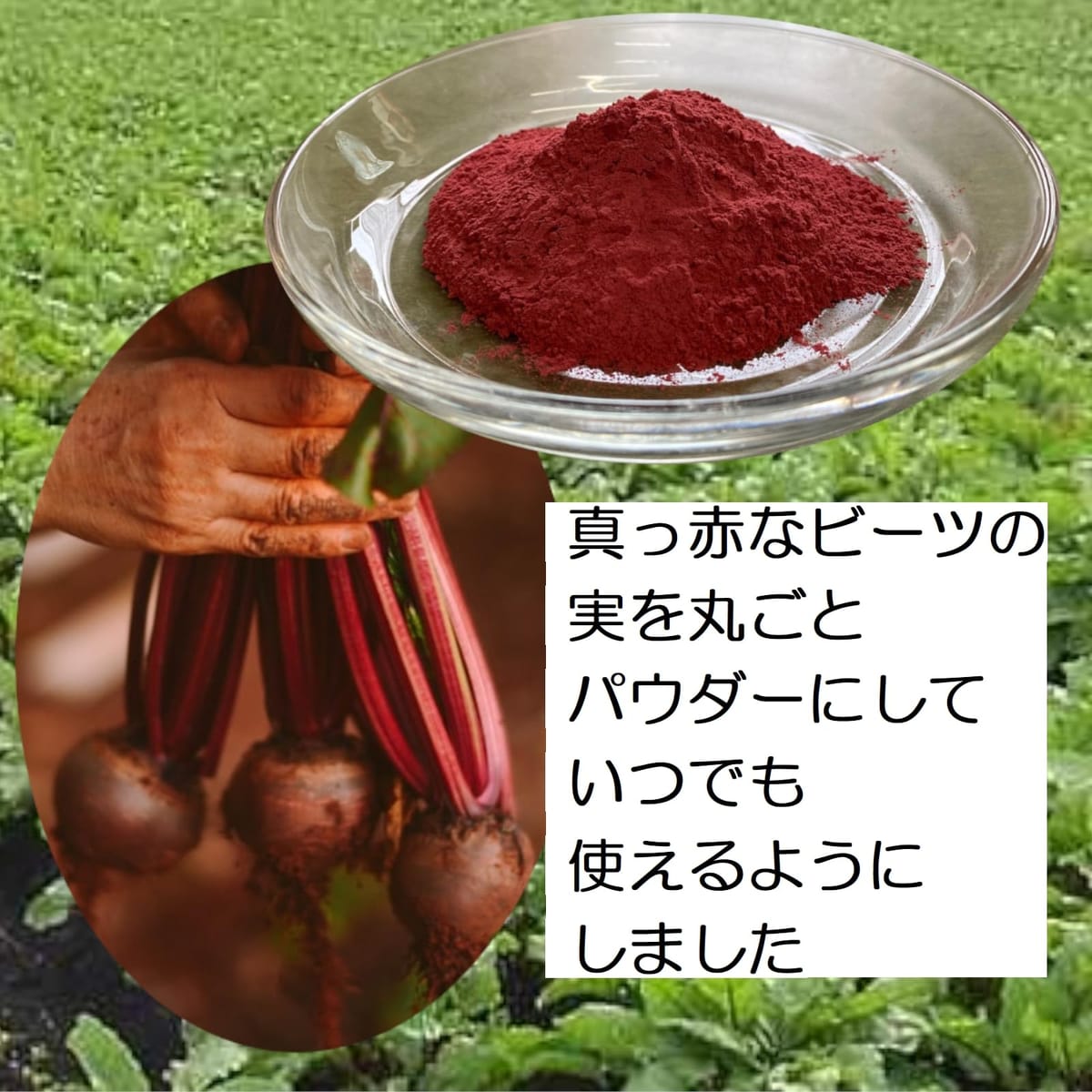 Roxy & Rich フォンダスト パウダー フードカラー、ネオンピンク 4 グラム Roxy & Rich Colorants Roxy & Rich Fondust Powder Food Color, Neon Pink 4 Grams