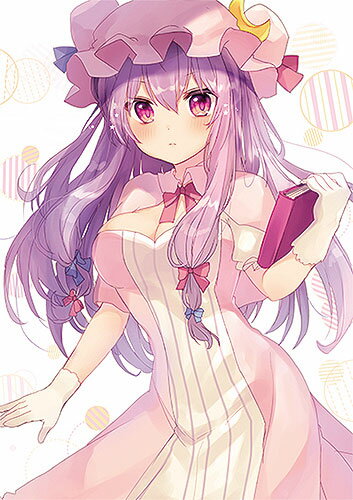 乐天商城 - 東方Projectクリアファイル すみめりドリルクリアファイル パチュリー(子野日)　-悶KID- 東方クリアファイル