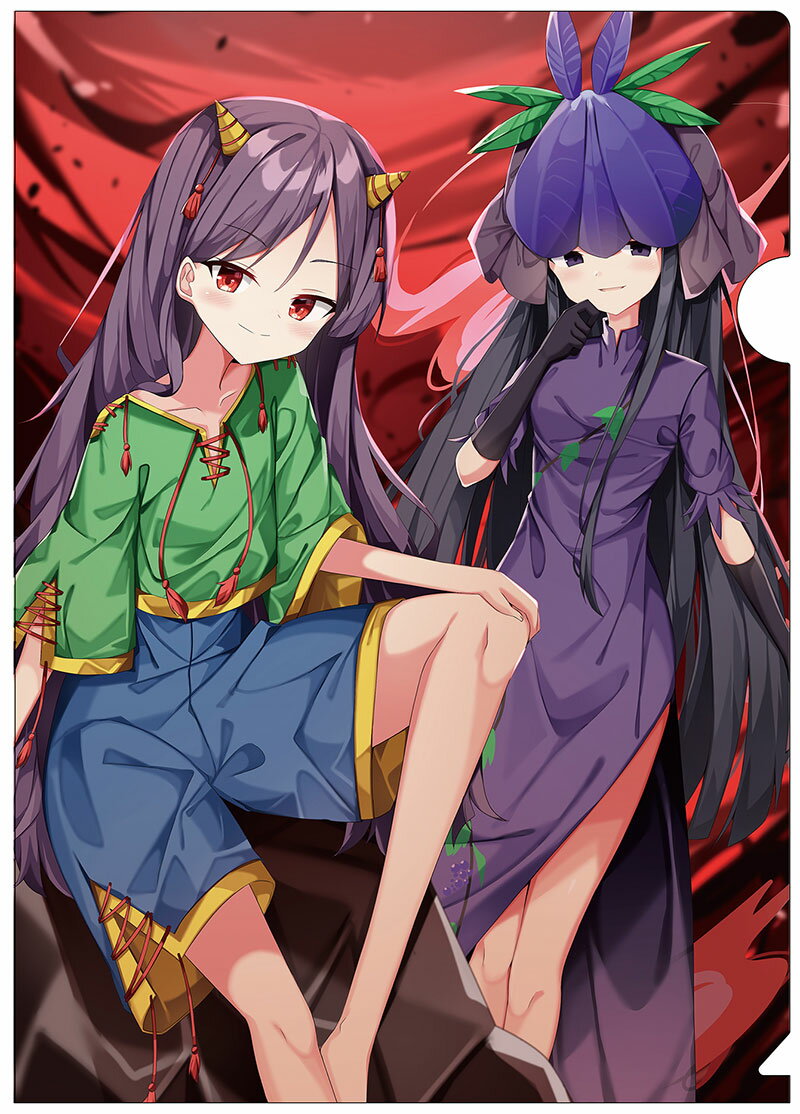 乐天商城 - 東方Projectクリアファイル 東方クリアファイル 残無＆日狭美5　-AbsoluteZero-