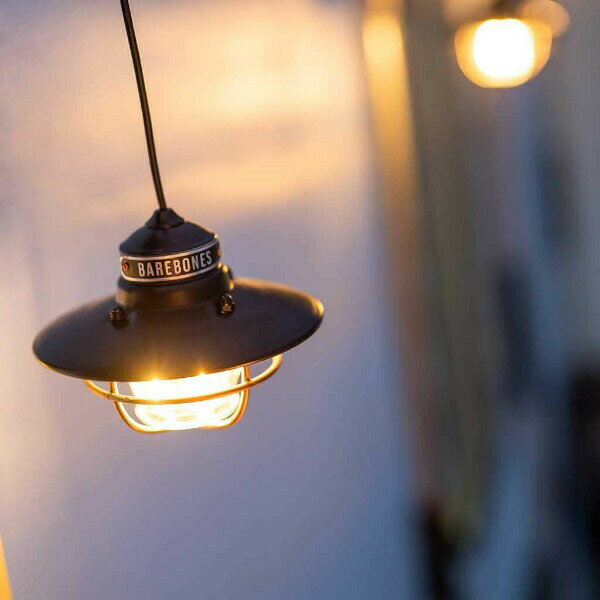 Barebones Living Edison Pendant Light ベアボーンズ ベアボーンズリビング エジソンペンダントライト LED LIV264 ブロンズ アウトドア IPX4 インテリア 家具通販格安セール情報　楽天　通販