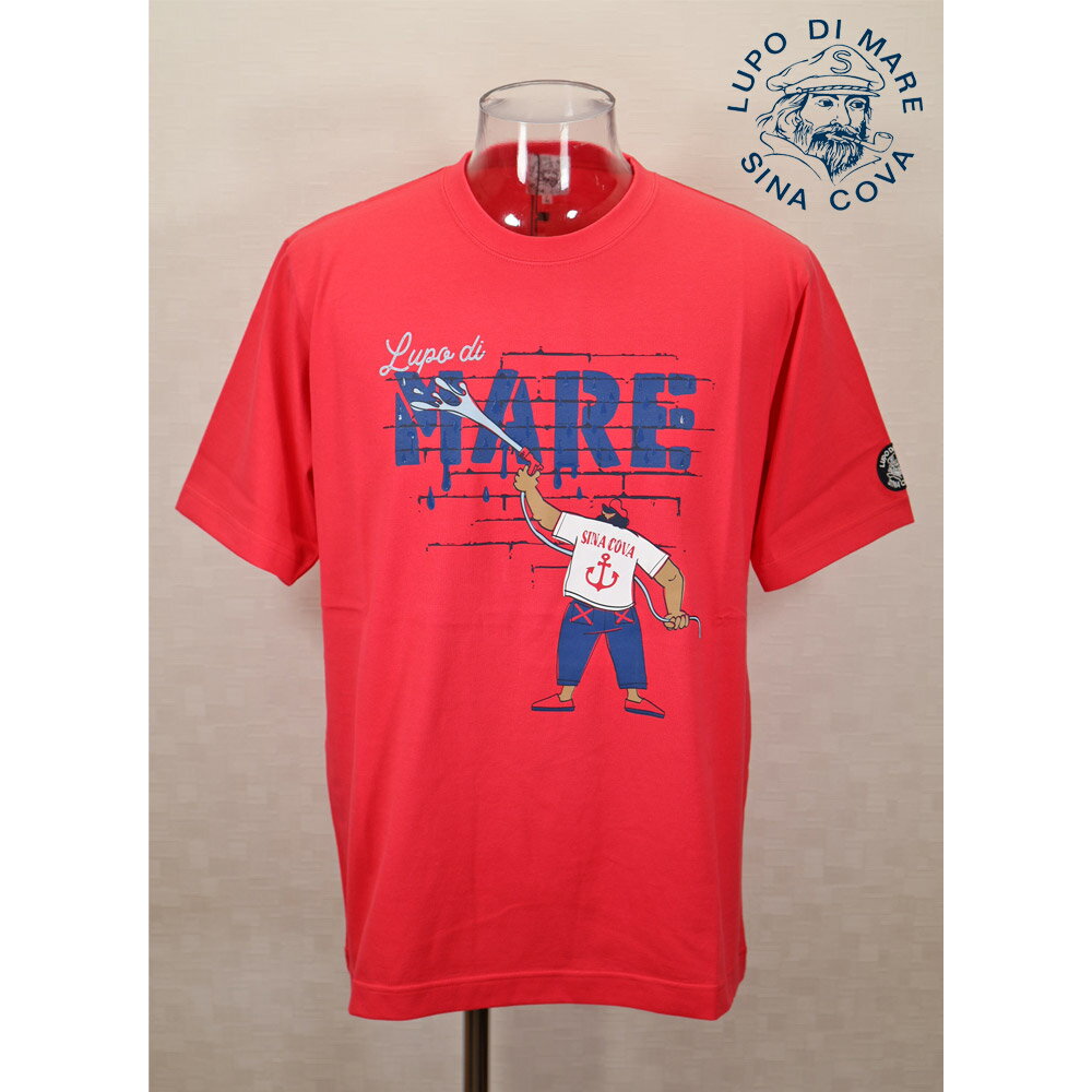 Rakuten - ★2025 春夏　新作・ 30%OFF・シナコバ【*001*】半袖Tシャツ＜Mサイズ・Lサイズ＞-ef0175・ef176