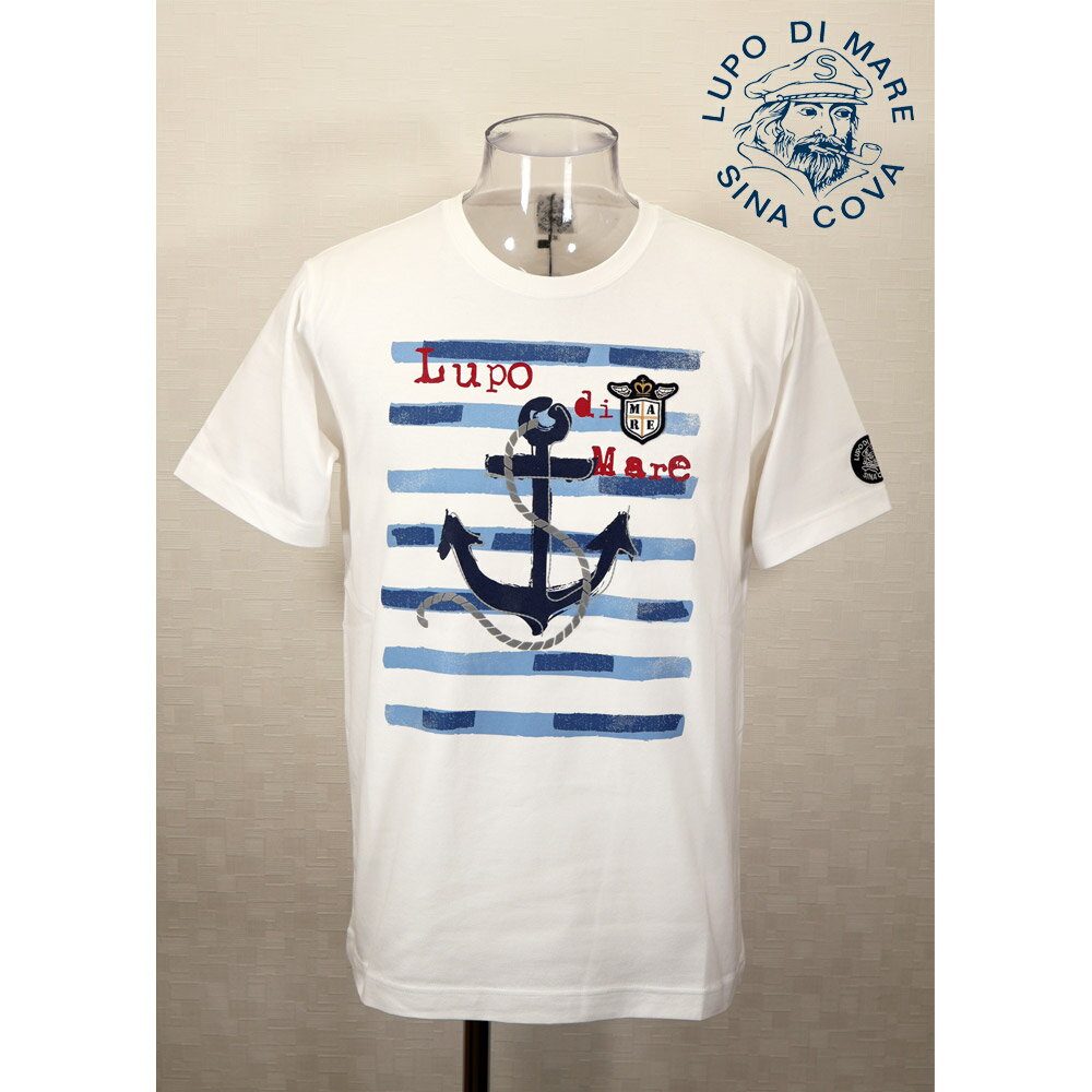 ★シナコバ【*001*】【25周年*001*】60％OFF・春夏半袖Tシャツ＜M・L・LLサイズ＞白-kd250・kd251・kd253