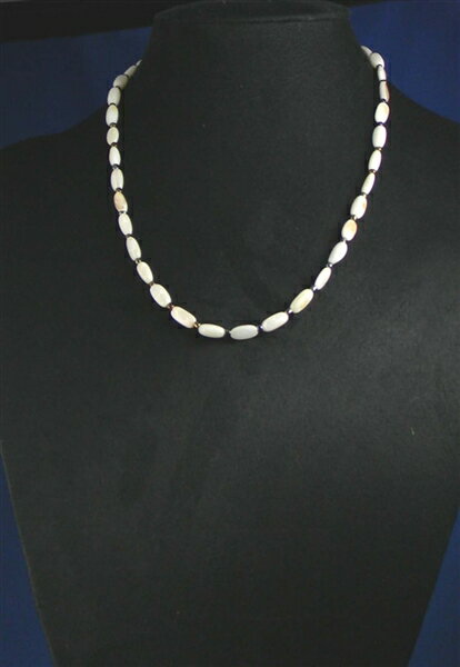 �ӡ������硼�������ʱߥץ�������/�᡼���زġڥ��ե�����̵����