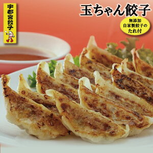 【送料無料】 餃子 60個入 宇都宮餃子「玉ちゃん餃子」2種セット 880-50【ご当地グルメ 冷凍食品 ぎょうざ 通販パーク お取り寄せ 餃子のたれ付き 国産 残暑見舞い ギフトセット 栃木 詰め合わせ 詰合せ つめあわせ】[ty]